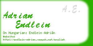 adrian endlein business card