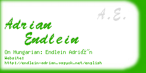 adrian endlein business card